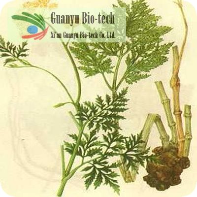 阿魏酸,Ferulic acid