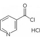 烟酰氯,NICOTINYL CHLORIDE HYDROCHLORIDE