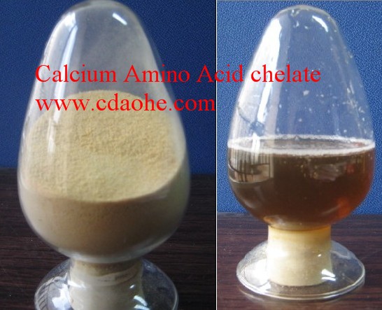 Calcium Amino Acid Chelat,Calcium Amino Acid Chelat