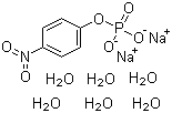 4-硝基苯基磷酸二钠盐六水合物 (PNPP,4-Nitrophenylphosphate,disodium salt hexahydrate,PNP