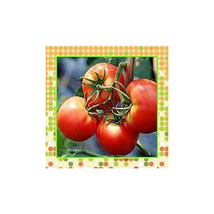 番茄红素Lycopene，2%5%,6%,10%（西安瑞迪）