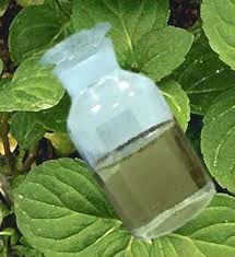 peppermint oil (BP/USP/FCC),peppermint oil (BP/USP/FCC)