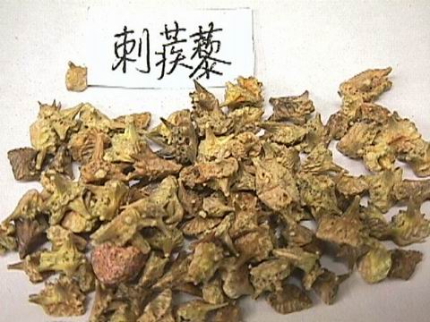 惠瑞生物/供应/纯天然/刺蒺藜提取物