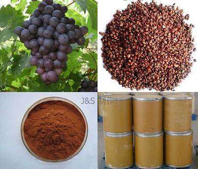 天一生物葡萄籽提取物Grape Seed Extract 原花青素95％--106%,Grape Seed Extract