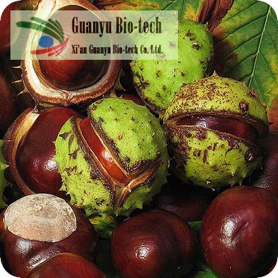 娑羅果提取物,Horse Chestnut P.E.