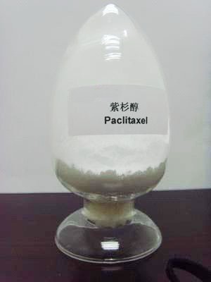 紫杉醇,Paclitaxel Natural/Semi-Synthetic