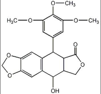 鬼臼毒素（Podophyllotoxin）,Podophyllotoxin