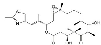 埃博霉素B,Epothilon