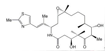 伊沙匹隆,IXABEPILONE