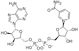 烟酰胺腺嘌呤二核苷酸,β-Nicotinamide adenine dinucleotid