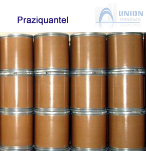 Praziquantel,Praziquantel