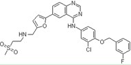 拉帕替,Lapatinib