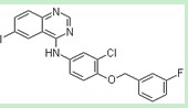 N-[3-氯-4-(3-氟苄氧基)苯基]-6-碘喹唑啉-4-胺,N-[3-Chloro-4-(3-fluorobenzyloxy)phenyl]-6-iodoquinazolin-4-amine