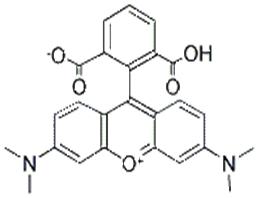 6-羧基四甲基罗丹明;6-羧基四甲基罗丹明;6-羧基四甲基罗丹明(单一化合物)