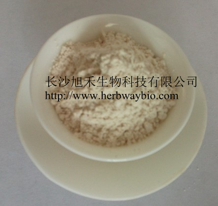 虎杖提取物白藜蘆醇,Resveratrol
