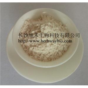 虎杖提取物白藜蘆醇