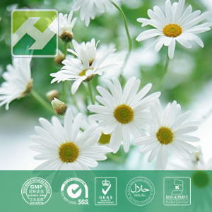 Feverfew flower extract,Feverfew flower extract