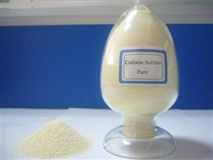 优质供应硫酸粘菌素,COLISTIN SULFATE