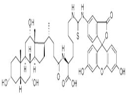 Cholyl-L-Lysyl-Fluorescein