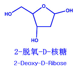 2-脫氧-D-核糖,2-Deoxy-D-Ribose
