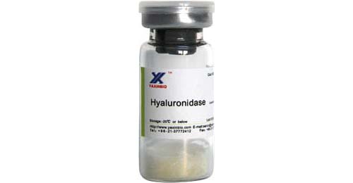 Hyaluronidase,Hyaluronidase