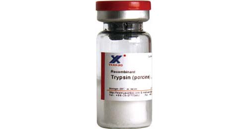 Recombinant Porcine Trypsin,Recombinant Porcine Trypsin