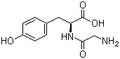 甘氨酰-L-酪氨酸,Glycyl-L-tyrosine