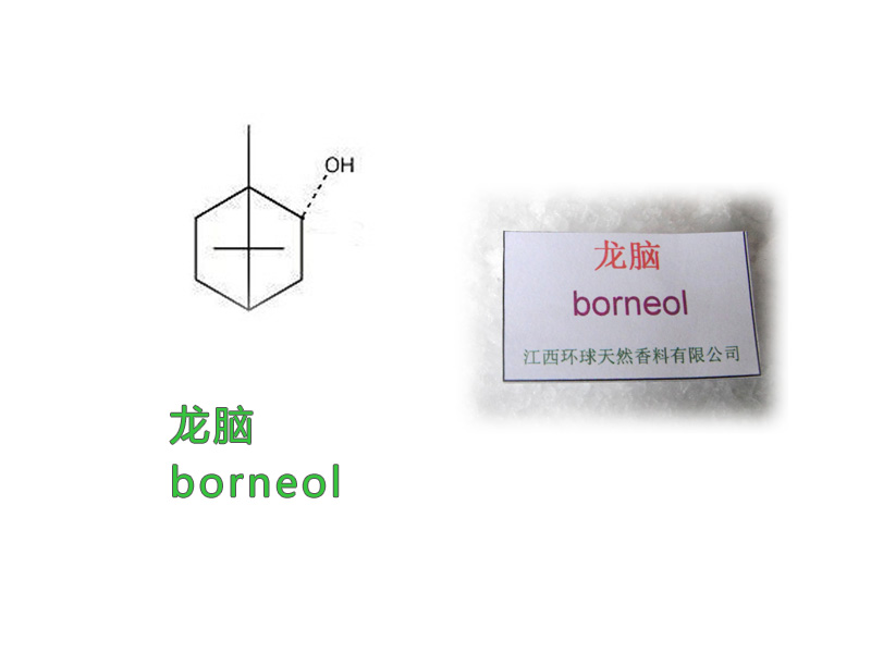 Borneol, Borneol Camphor,Essential oil, Plant extract (1490-04-6),Borneol