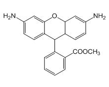 二氢罗丹明123,Dihydrorhodamine 123