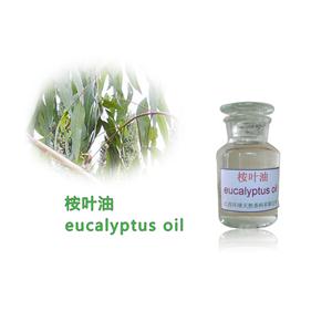 Medicinal essential oil ,Eucalyptus oil,Herbs Extract,herbal extract