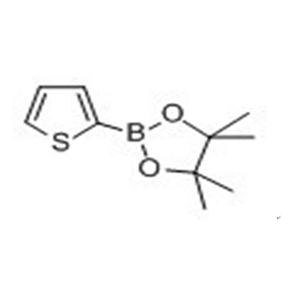 噻吩-2-硼酸频哪醇酯