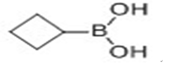 环丁基硼酸,Cyclobutylboronic acid