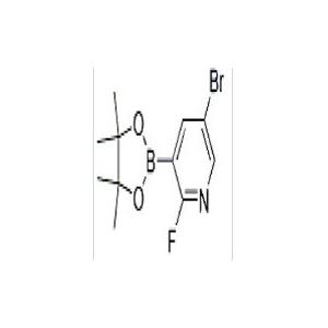 2-氟-5-溴吡啶-3-硼酸频那醇酯