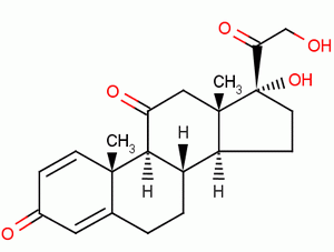 潑尼松（強(qiáng)的松）,Prednisone