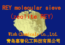 Y 型分子篩,REY zeolite