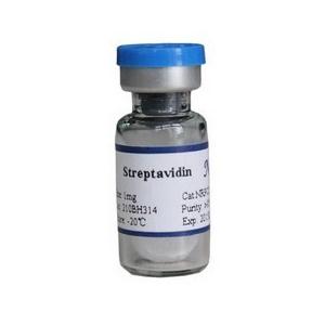 recombinant streptavidin
