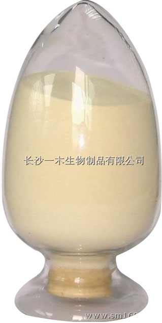 納豆提取物，納豆激酶,Nattokinase