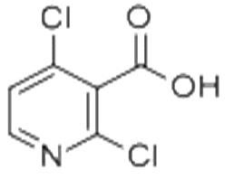 2,4-二氯烟酸