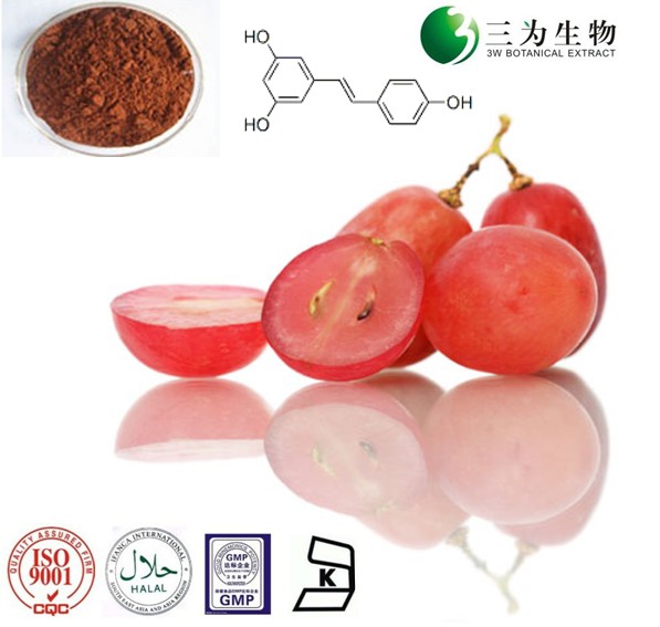 葡萄皮提取物 -- 5%白藜芦醇 -- 501-36-,Grape Skin Extract, 5% Resveratrol