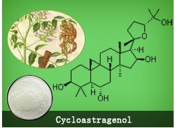 環(huán)黃芪醇,cycloastragenol