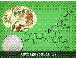 黃芪甲苷,astragaloside iv