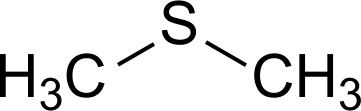 甲硫醚,Methyl sulfide
