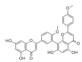 异银杏素,Isoginkgetin