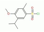 5-ISOPROPYL-4-METHOXY-2-METHYL-BENZENESULFONYL CHLORIDE,5-ISOPROPYL-4-METHOXY-2-METHYL-BENZENESULFONYL CHLORIDE