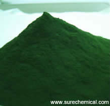 Chlorella,Chlorella