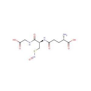 亚硝基谷胱甘肽（GSNO）