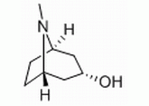 β-托品醇,Exo-8-methyl-8-azabicyclo[3.2.1]octan-3-ol