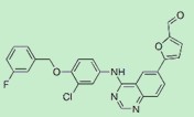 5-[4-[[3-氯-4-[(3-氟苯基)甲氧基]苯基]氨基]-6-喹唑啉]-2-呋喃甲醛,5-[4-[[3-chloro-4-[(3-fluorophenyl)methoxy]phenyl]amino]-6-quinazolinyl]-