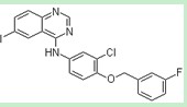 N-[3-氯-4-(3-氟苄氧基)苯基]-6-碘喹唑啉-4-,N-[3-Chloro-4-(3-fluorobenzyloxy)phenyl]-6-iodoquinazolin-4-amine