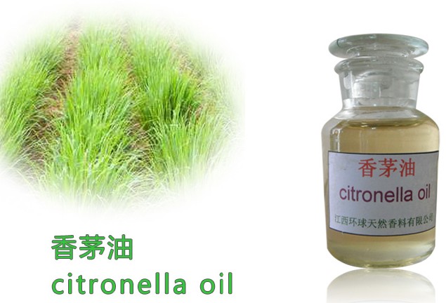 Pure Natural Citronella Aromatherapy Fragrance Oi,Citronella Oi